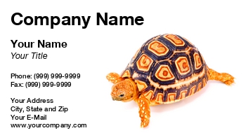 Featured Designs |--| At57060 | Exotic Pets | Geochelone | Pardalis | Petr Koudelka | Reptile | Tortoise | Young