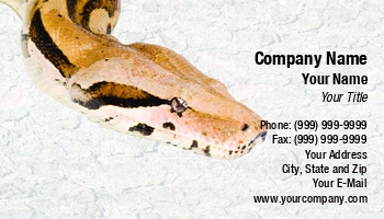 Featured Designs | Nature |--| Anaconda | Animal | Animal Care | At57072 | Boa | Constrictor | Head | Herpetology | Herpetophobia | Mauritius | Petr Koudelka | Reptile | Serpent | Snake