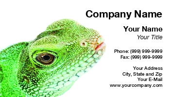 Featured Designs | Nature | Wild |--| Agama | Animal | Animal Care | At57419 | Beast | Cocincinus | Dragon | Iguana | Insectivore | Lizard | Monster | Pet | Petr Koudelka | Physignathus | Reptile | Reptilian | Saurian | Terrarium | Tropical | Wildlife