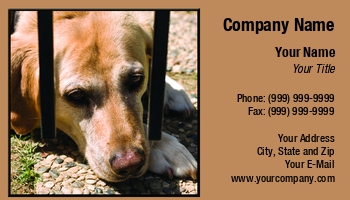 Featured Designs |--| Animal Rescue | Animal Shelter | Assistance Dog | At58345 | Dog | Dog Boarding Kennel | Dog Handler | Dog Kennel | Dog Sitter | Dogs | Golden Retriever | Lab | Linda Z. Ryan | Pet Sitter | Search Dog | Yellow Lab