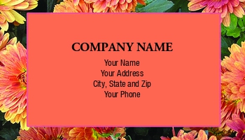 Featured Designs | Floral | Nature |--| At58625 | Border | Bright | Cindy Farmer | Colored | Coral | Designer | Floral Border | Floral Borders | Florist | Gardener | Mums | Orange | Pink | Used | Wholesaler | Yellow