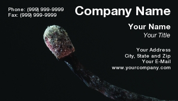 Featured Designs |--| Arson | At58761 | Burnt | Burnt Match | Lior Filshteiner | Match | Matches