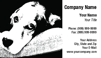 Featured Designs |--| At58776 | Basset | Black And White Photography | Dog | Dog Photographer | Hound | Monochrome | Pat Ballard | Rest
