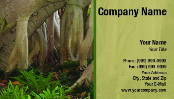 Featured Designs |--| At58862 | Cindy Farmer | Ecology | Hawaii | Island | Oahu | Shrubs | Surrounding | Tree | Trunk