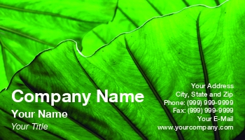 Featured Designs |--| Above | At59065 | Botany | Green | Leaves | Lit | Paul Phillips | Plant | Showing | Veins