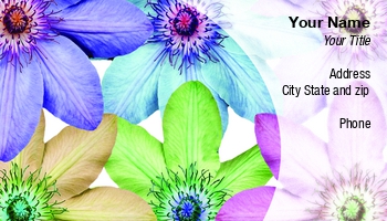 Featured Designs | Floral | Nature |--| At59177 | Clematis | Colours | Different | Flower | Heads | Pattern | Paul Phillips