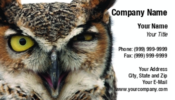 Featured Designs |--| At59223 | Bird | Owl | Paul Phillips | Wisdom | Wise | Wise Old Owl