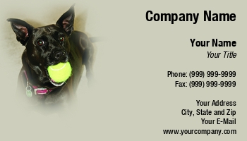 Featured Designs |--| #039 | At59266 | Ball | Black | Breed | Dave Frederick | Dog | Dogs | Gray | Looks | Mixed | Mouth | Pet | Smile | Template | Used | Vet | Veterinary | Veterinary Technician | Words | Yellow