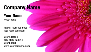 Featured Designs | Floral | Nature |--| At59330 | Background | Card | Gerber | Lily | Picture | Pink | Right | Space | Text | Tina Baumgartner | White
