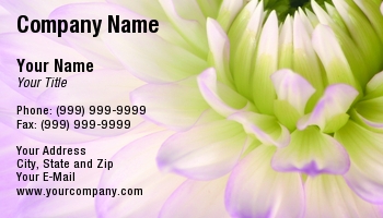 Featured Designs | Floral | Nature |--| At59331 | Brightened | Close | Dahlia | Day Spa | Easier | Lavender | Make | Pedals | Read | Slightly | Text | Tina Baumgartner | White