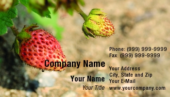 Featured Designs |--| Agriculture | At59407 | Hamiza Bakirci | Produce | Produce Market