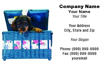 Featured Designs | Floral | Nature |--| Adorable | At59436 | Box | Dachshund | Lee Barnwell | Peeping | Puppy | Sewing