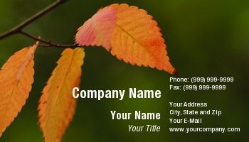 Featured Designs |--| At59447 | Background | Card | Dark | Fall | Green | Leaves | Orange | Shows | Tina Baumgartner