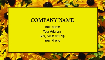 Featured Designs |--| At59569 | Black | Black Eyed Susan | Bright | Brown | Center | Characteristic | Cindy Farmer | Domed | Eyed | Floral Border | Floral Borders | Florets | Flowers | Photo | Ray | Surrounded | Susan | Yellow