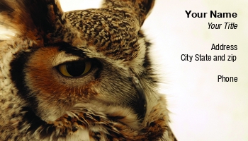 Featured Designs | Wild |--| At59628 | Paul Phillips