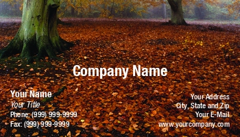 Featured Designs |--| At59642 | Fall | Forest | Forestry | Paul Phillips