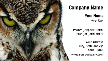 Featured Designs |--| At59993 | Bird | Eagle | Owl | Paul Phillips | Raptor | Threatening | Wisdom | Wise