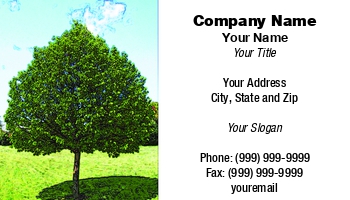 Featured Designs | Landscaping | Trades | Tree Trimmer |--| At60133 | Cindy Farmer | Colored | Lawn | Mowing | Park | Services | Setting | Single | Sketch | Tree | Trimmer | Used