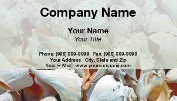 Featured Designs | Nature | Ocean |--| At61028 | H.b. Lamb | Sea Shells | Seashells