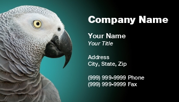 Featured Designs |--| African | Aprilstack | At61071 | Background | Bird | Black | Blue | Cyan | Exotic Pet | Eye | Fanciers | Favorite | Feather | Glow | Gray | Great | Green | Images | Nice | Owners | Parrot | Perfect | Pet | Pet Store | Sharpness | Shop