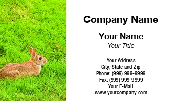 Animals | Featured Designs | Wild |--| At61178 | Brown | Darryl Brooks | Field | Grass | Green | Rabbit | Sitting