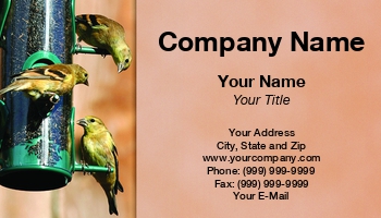 Featured Designs | Nature |--| At61695 | Aviary | Bird | Birds | Dave Frederick | Eat | Feed Consultant | Feed Dealer | Feeder | Finches | Friendship | Group | Natural | Outdoors | Pet Food | Pet Hotel | Relationships | Template | Used | Words