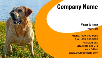 Featured Designs |--| Animal | At61899 | Dog Handler | Dogs | Labrador Retriever | Labradores | Lovers | Paulo Resende | Pets | Trainers