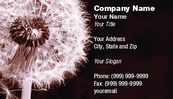 Featured Designs |--| At62528 | Background | Business | Dandelion | Dark | Emilia Kun | Stylized | Weed | Weed Control | Weed Elimination