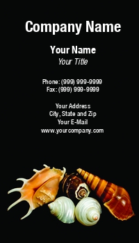 Beach | Featured Designs | Nature | Ocean | Professional | Travel |--| Aroma Therapy | At63099 | Background | Black | Industries | Jan Hastings | Sea | Seashells | Shells | Spa | Suitable | Tourism