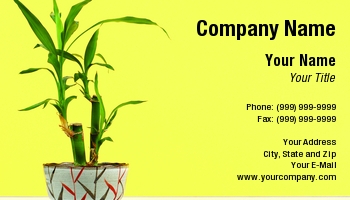 Featured Designs | Interior Design | Professional |--| At63153 | Bamboo | Beautiful | Bryce Newell | Eco-friendly | Ecology | Houseplant | Plant Watering Service | Pot | Rocks | Sustainable Products