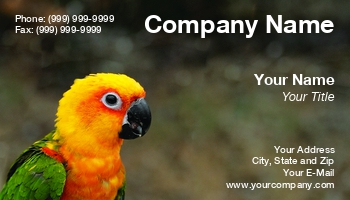 Featured Designs |--| At63521 | Bird | Bird Sanctuary | Exotic Pets | Hamiza Bakirci | Lorikeet | Macaw | Parrot | Pet Bird | Pet Photography
