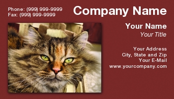 Featured Designs |--| At63753 | Card | Jean-louis Bouzou | Kitty | Persian Cat | Portrait | Veterinian