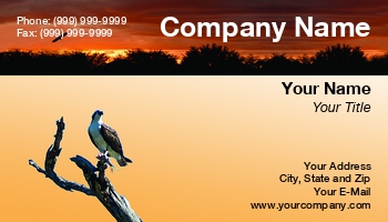 Featured Designs | Nature |--| At60562 | Bird | Caught | Fish | Great | H.b. Lamb | Lovers | Osprey | Preserves | Raptor | Refuge | Rest | Stopped | Wildlife
