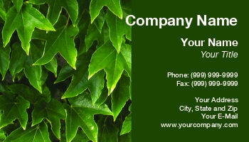 Featured Designs | Nature |--| At67169 | Bio | Boston | Clean | Emilia Kun | Environment | Environmental | Green | Ivy | Leaves