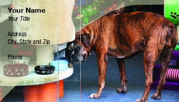 Animals | Featured Designs | Grooming |--| At67328 | Boxer | Dog | Judy Ben Joud | Petshop