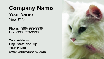 Featured Designs |--| Angora | Animal | Animal Shelter | Animals! | At67444 | Beautiful | Card | Cat | Groomers | Haired | Hand | Long | Loves | Pet | Pet Sitter | Right | Shelters | Shops | Sits | Stephen Orsillo | Text | Turkish | Useful | Veterinarians | White