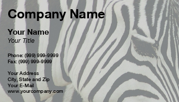 Animals | Featured Designs | Nature | Veterinarian |--| Africa | African | African Animal | Animal | At67822 | Business | Card | Clothing | Fashion | Involved | Mark Javer | Pattern | Perfect | Print | Removal | Rescue | Striped | Stripes | Template | Wildlife | Zebra | Zebras | Zoo