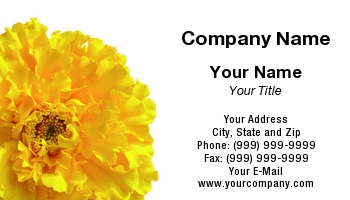 Featured Designs | Floral | Nature |--| At68509 | Beautiful | Closeup | Corner | Flower | Nenad Curcic | Yellow