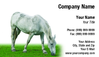 Featured Designs |--| At68514 | Business | Card | Eating | Grass | Horse | Nenad Curcic | White