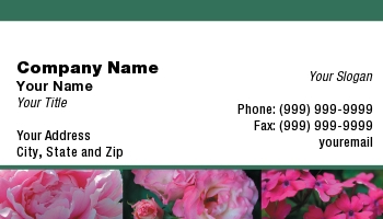 Featured Designs | Floral | Nature |--| At68671 | Rhonda Franks