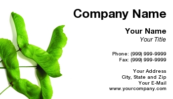 Featured Designs | Nature |--| Arboriculture | At68893 | Background | Card | Forest | Forestry | Green | Isolated | Keys | Maple | Professions | Related | Rhonda Franks | Tree | White
