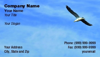 Featured Designs |--| At69045 | Bird | Birds | Blue Sky | Flight | Stephen Orsillo