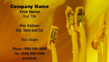 Featured Designs | Garden | Trades |--| At69048 | Botanists | Botany | Card | Close | Daffodil | Florists | Flower | Inside | Shops | Shows | Stephen Orsillo | Useful | Yellow