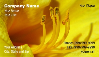 Featured Designs | Potpourri |--| At69049 | Botanists | Botany | Daffodil | Detaild | Florist | Florists | Flower | Gardens | Highly | Macro | Macro Photography | Shops | Shot | Stephen Orsillo | Useful | Yellow
