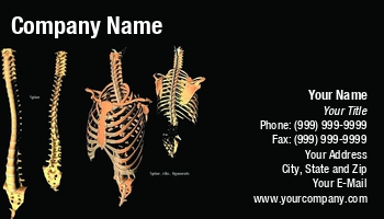 Featured Designs | Medical | Professional |--| Anthropologist | Astrid Van Der Eerden | At69093 | Body | Bones | Chiropractor | Doctor | Hospital | Human