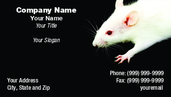 Animals | Featured Designs |--| Animal | At69134 | Black | Bloodshot | Creature | Disinfestation | Fear | Fur | Furry | Hair | Hairy | Horror | Mammal | Mice | Mouse | Murine | Pest | Pet | Petr Koudelka | Phobia | Rat | Rodent | Rodents | Shock | Shocking | Vermin | White