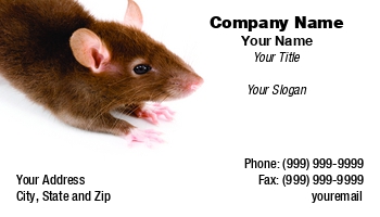 Animals | Featured Designs |--| Animal | At69153 | Brown | Control | Creature | Disinfestation | Ear | Eye | Fear | Fur | Furry | Hair | Hairy | Horror | Mammal | Mice | Mouse | Murine | Paw | Pest | Pet | Petr Koudelka | Phobia | Rat | Rodent | Rodents | Shock | Shocking | Vermin | Whisker