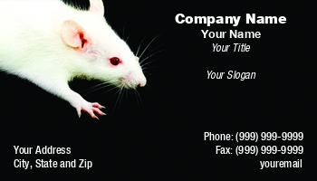 Animals | Featured Designs |--| Animal | Animal Care | At69155 | Black | Bloodshot | Creature | Disinfestation | Fear | Fur | Furry | Hair | Hairy | Horror | Mammal | Mice | Mouse | Murine | Pest | Pet | Pet-psychologist | Petr Koudelka | Phobia | Rat | Rodent | Rodents | Shock | Shocking | Vermin | White