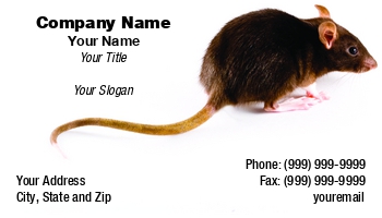 Animals | Featured Designs |--| Animal | At69158 | Brown | Control | Creature | Disinfestation | Ear | Eye | Fear | Fur | Furry | Hair | Hairy | Horror | Mammal | Mice | Mouse | Murine | Paw | Pest | Pet | Petr Koudelka | Phobia | Rat | Rodent | Rodents | Shock | Shocking | Tail | Vermin | Whisker