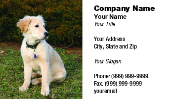 Featured Designs |--| Animal Breeder | Animal Care | At69160 | Dog Trainer | Pet-psychologist | Petr Koudelka | Puppy